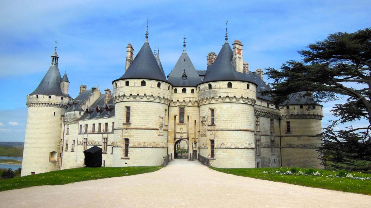 La Casa D'Olianna - Jolie Maison / Jeux / Grand Jardin Villeny ภายนอก รูปภาพ